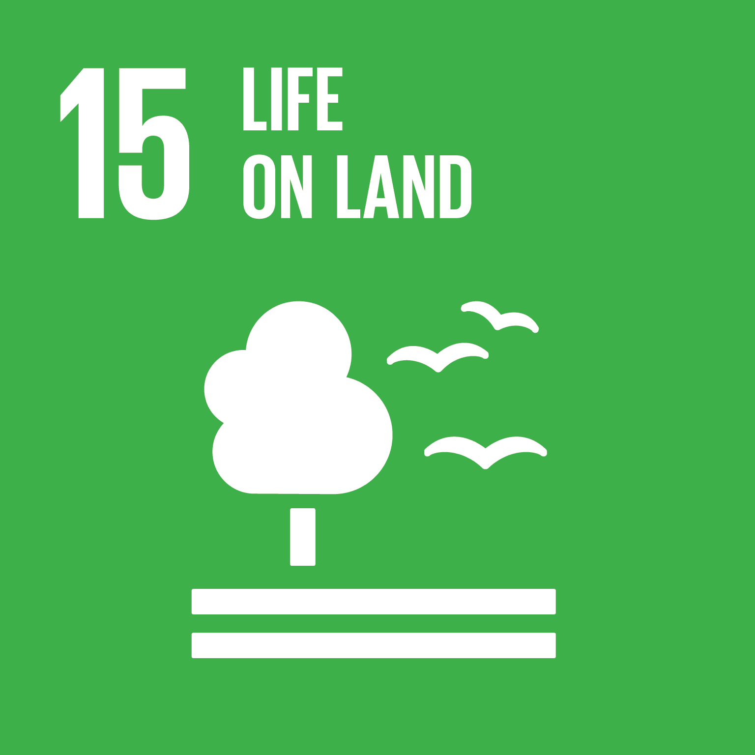 SDG 15 – Life on Land