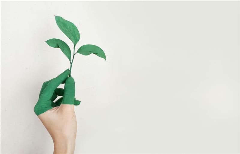 Planet – Lightstorm’s Efforts to Build a Greener Digital Future